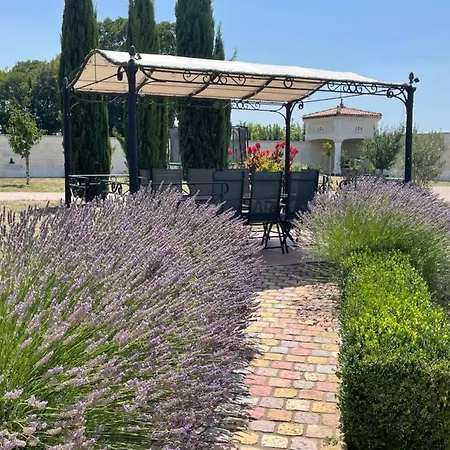 Domaine Du Clos Pallacien