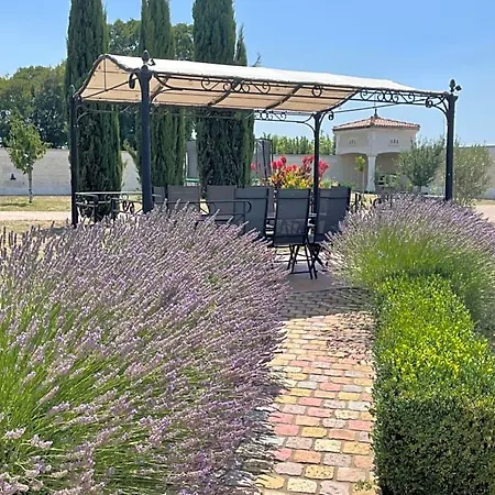 Domaine Du Clos Pallacien 4* Paillé